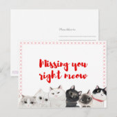 Carte Postale Vous Manquez À Droite Meow (Devant / Derrière)