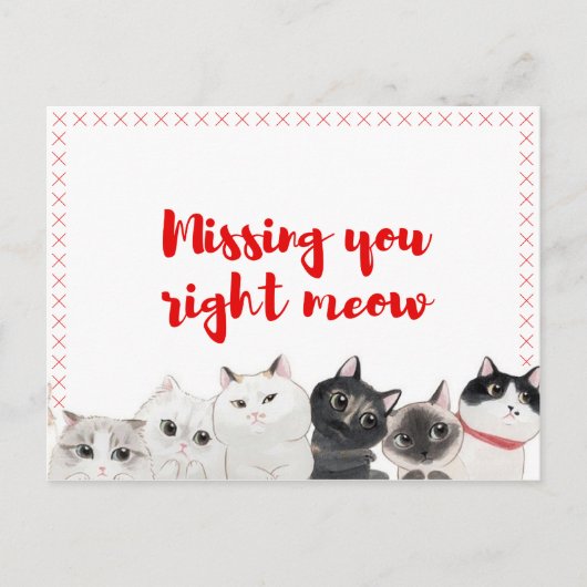 Carte Postale Vous Manquez À Droite Meow (Devant)