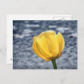 Carte Postale Vous manquez avec une fleur de tulipe jaune et de  (Devant / Derrière)