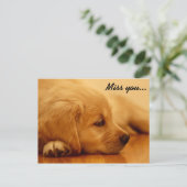 Carte Postale Vous manquez ! Chiot Golden Retriever (Debout devant)