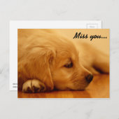 Carte Postale Vous manquez ! Chiot Golden Retriever (Devant / Derrière)