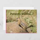 Carte Postale Vous Manquez Mignonne Chipmunk Sur Une Photo Rock (Devant / Derrière)