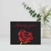 Carte Postale Vous manquez romantique rose rouge photo personnal (Debout devant)