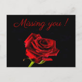 Carte Postale Vous manquez romantique rose rouge photo personnal (Devant)