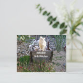 Carte Postale Vous Manquez Wyatt (Debout devant)