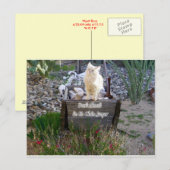 Carte Postale Vous Manquez Wyatt (Devant / Derrière)