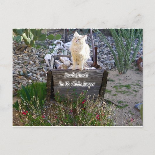 Carte Postale Vous Manquez Wyatt (Devant)