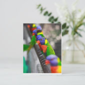 Carte Postale Vous me cherchez ? (Debout devant)