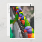 Carte Postale Vous me cherchez ? (Devant / Derrière)