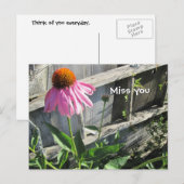 Carte Postale Vous me manque rose Daisy (Devant / Derrière)