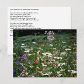 CARTE POSTALE VOUS N'AVEZ PAS À COMPRENDRE LA NATURE DE LA VIE (Devant / Derrière)