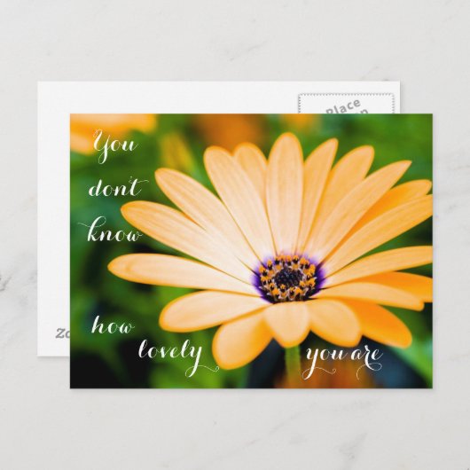 Carte Postale Vous ne savez pas à quel point vous êtes charmant (Devant / Derrière)