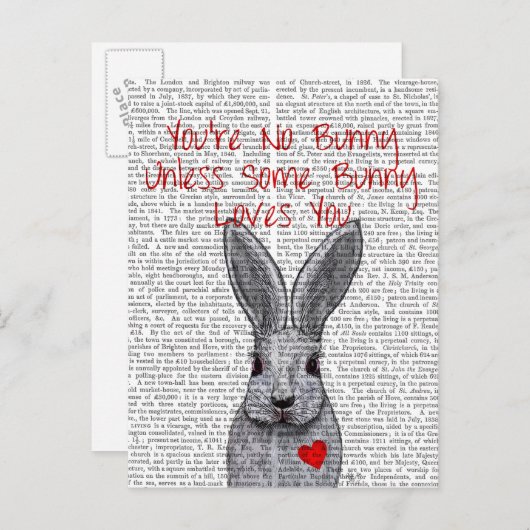 Carte Postale Vous n'êtes pas Lapin (Devant / Derrière)