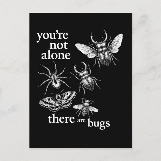 Carte Postale Vous n'êtes pas seul, il y a des insectes (Devant)