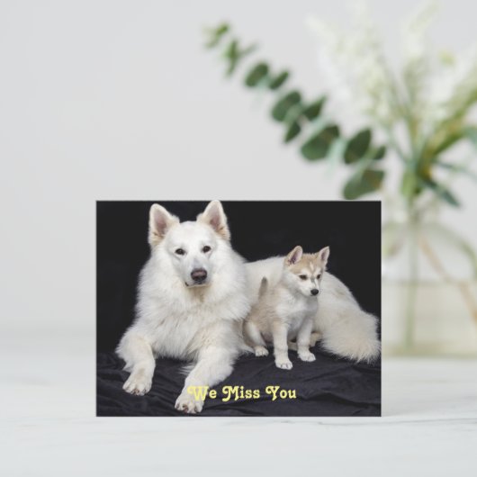 Carte Postale Vous nous manquez mignon chien mamma et chiot (Debout devant)