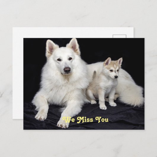 Carte Postale Vous nous manquez mignon chien mamma et chiot (Devant / Derrière)