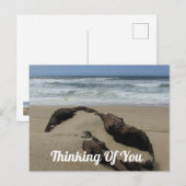 Carte Postale Vous penser à Vous Plage de sable de bois flotté P (Devant / Derrière)