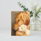 Carte Postale Vous penser Mignon Chien Retriever Doré Triste Ani (Debout devant)