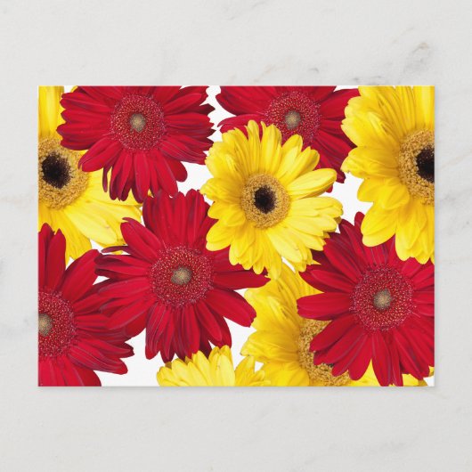 Carte Postale Vous pensez à des gerberas rouges et jaunes (Devant)