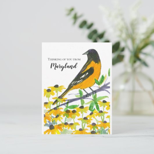 Carte Postale Vous pensez de Maryland Baltimore Oriole (Debout devant)
