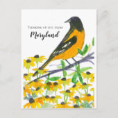 Carte Postale Vous pensez de Maryland Baltimore Oriole (Devant)