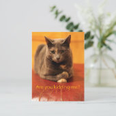 Carte Postale Vous plaisantez ? (Debout devant)