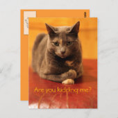 Carte Postale Vous plaisantez ? (Devant / Derrière)