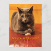 Carte Postale Vous plaisantez ? (Devant)