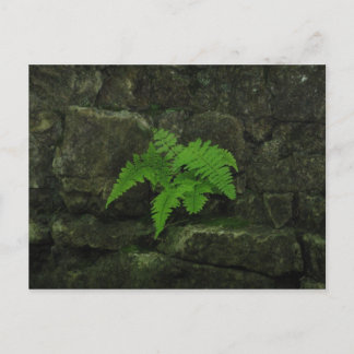 Carte Postale Vous pouvez survivre...