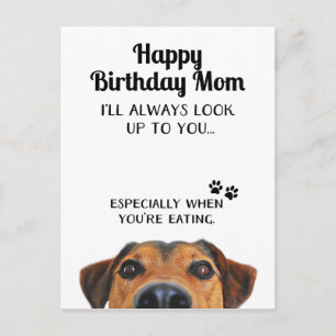 Carte Postale Vous Regarder Avec Admiration Funny Joyeux Anniver