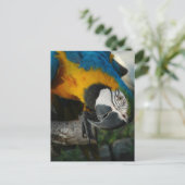 Carte Postale Vous Regarder Ici (Debout devant)