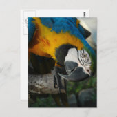 Carte Postale Vous Regarder Ici (Devant / Derrière)