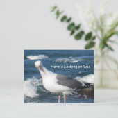 Carte postale: Vous regardez Gull (Debout devant)