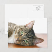 Carte Postale Vous regardez le chat (Devant / Derrière)