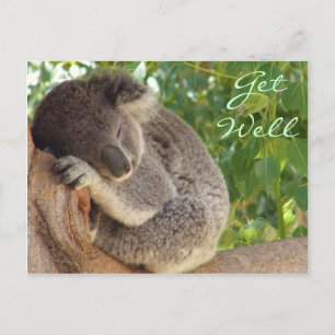 Carte Postale Vous rêvez_