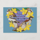 Carte Postale Vous valez plus que de nombreux moineaux (Devant)