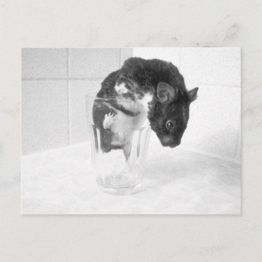 Carte Postale Vous voulez boire un verre ? ? (Devant)