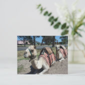 Carte Postale Vous voulez faire un tour ? (Debout devant)