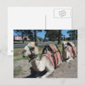 Carte Postale Vous voulez faire un tour ? (Devant / Derrière)