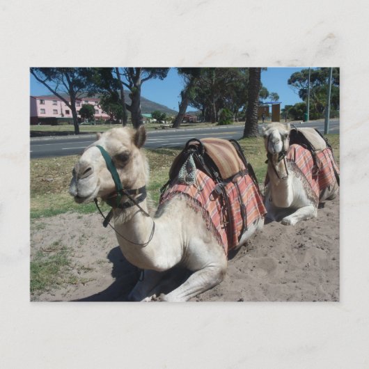 Carte Postale Vous voulez faire un tour ? (Devant)