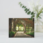 Carte Postale Voyage (Debout devant)
