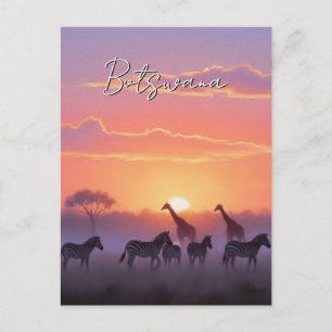 Carte Postale Voyage au coucher du soleil au Botswana