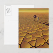 Carte Postale Voyage au Sahara 1995 (Devant / Derrière)