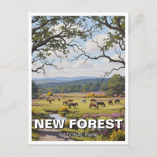 Carte Postale Voyage dans le parc national de New Forest (Devant)