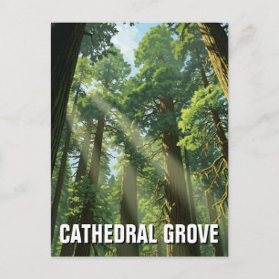 Carte Postale Voyage dans le parc provincial MacMillan de Cathed
