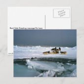 Carte Postale Voyage de chien sur la glace, île d'Ellesmere, Ter (Devant / Derrière)