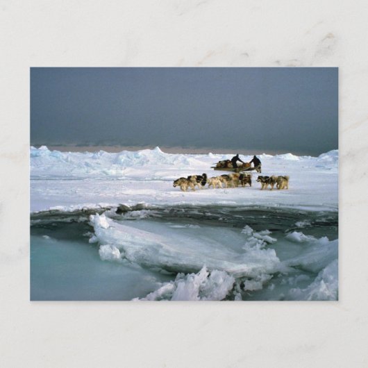Carte Postale Voyage de chien sur la glace, île d'Ellesmere, Ter (Devant)