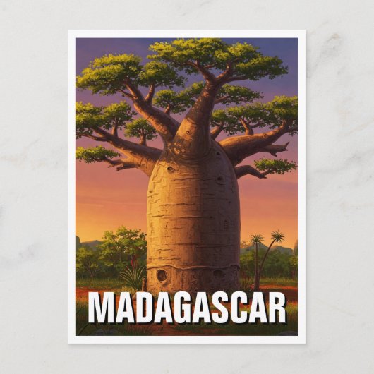 Carte Postale Voyage de l'arbre du baobab à Madagascar (Devant)