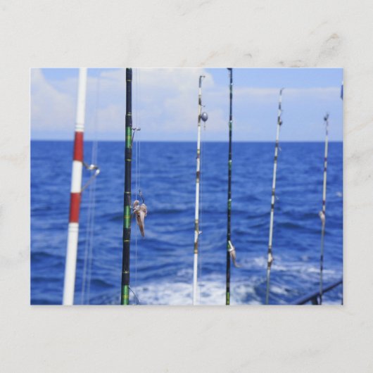 Carte Postale Voyage de pêche (Devant)