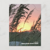 Carte Postale Voyage | Floride - Anastasia Sea Oat Sunset (Devant)